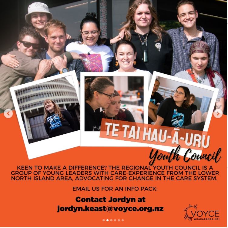 A social media post promoting Youth Councils